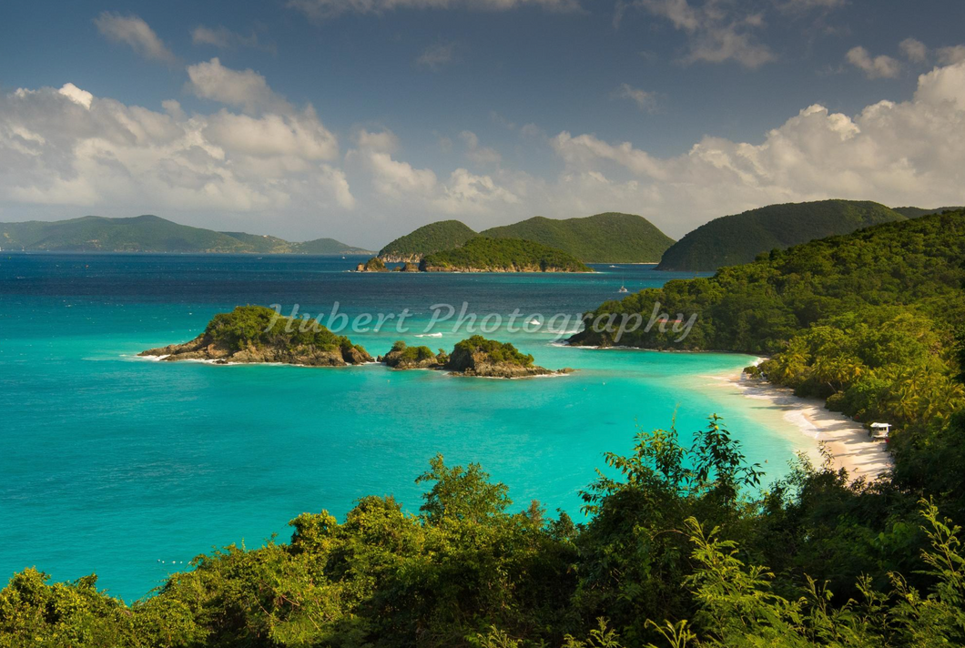 Classic Trunk Bay Overlook Metal Photo